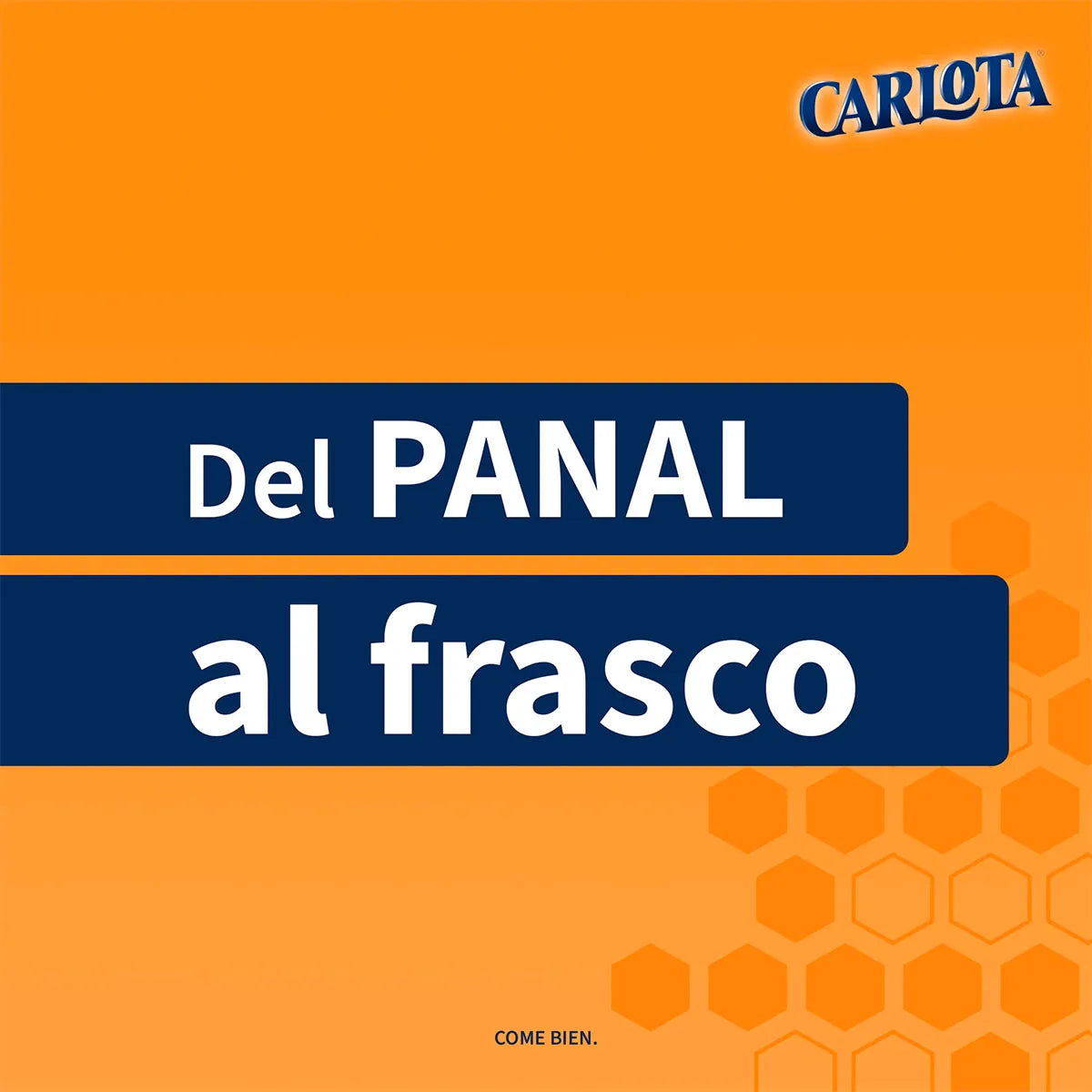 Miel De Abeja Carlota 300g