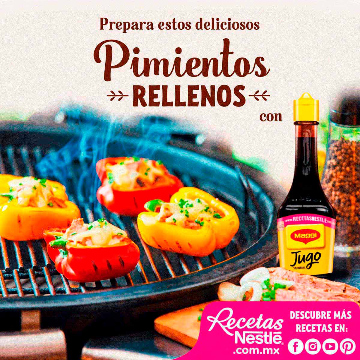 Jugo Sazonador Maggi 100ml