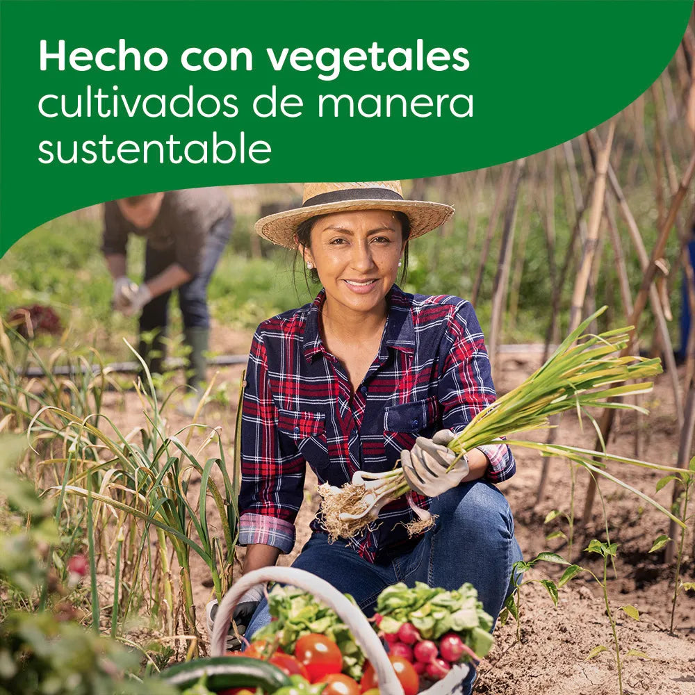 Caldo de Pollo Knorr 10.5g × 8 pzs